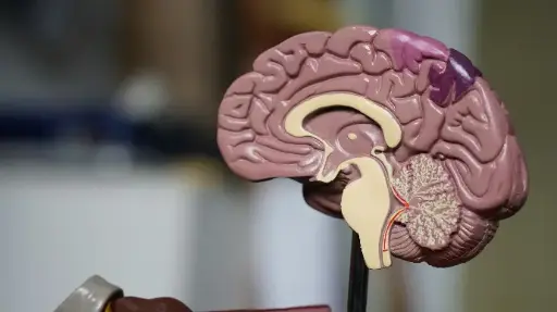 psychologie